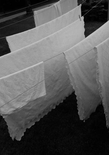 fitted sheet fitted sheet